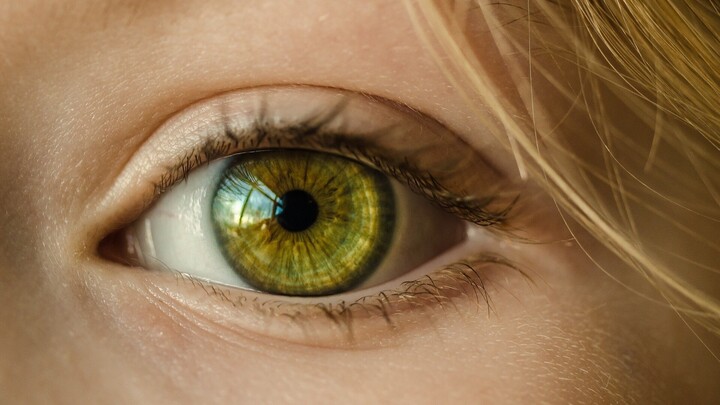 Auge